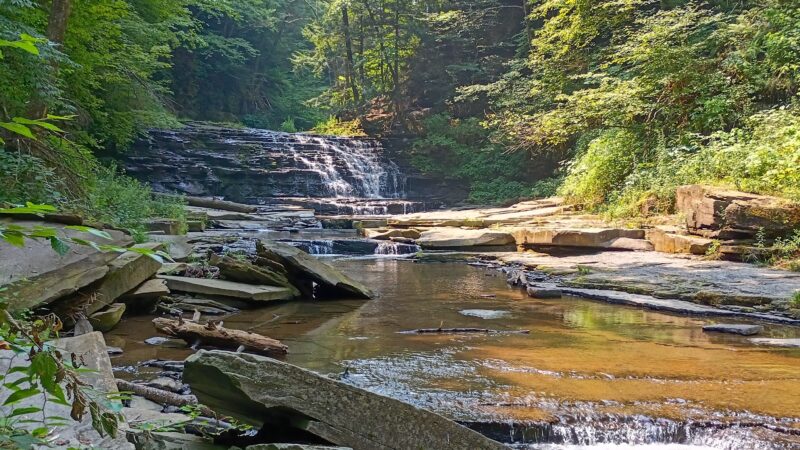 Salt Springs State Park - Montrose, PA