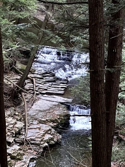Salt Springs State Park - Montrose, PA