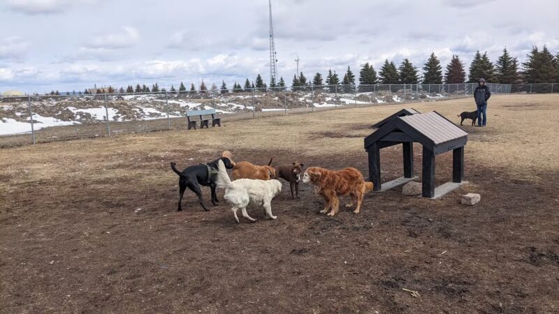 Centennial Dog Park - Moorhead, MN