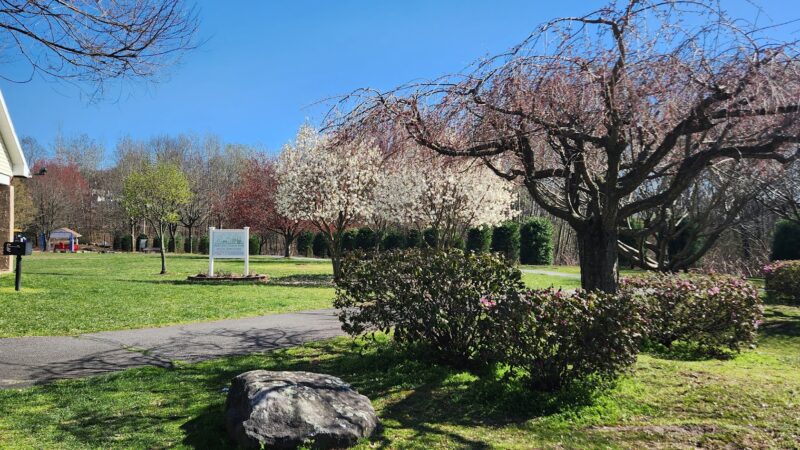 Mercatili Segilia Park - Moosic, PA