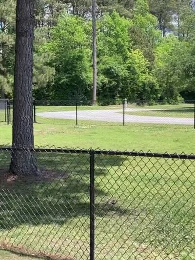 Rotary Park Dog Park - Morehead City, NC