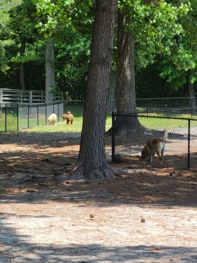 Rotary Park Dog Park - Morehead City, NC