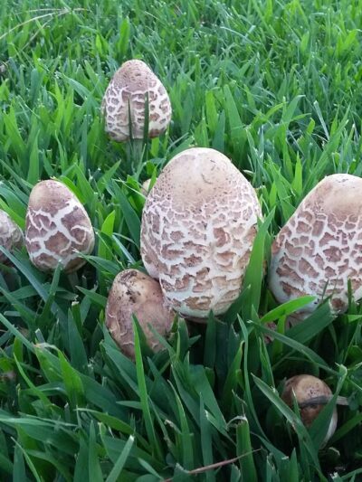 Bayside Park - Moreno Valley, CA