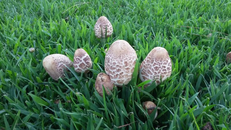 Bayside Park - Moreno Valley, CA