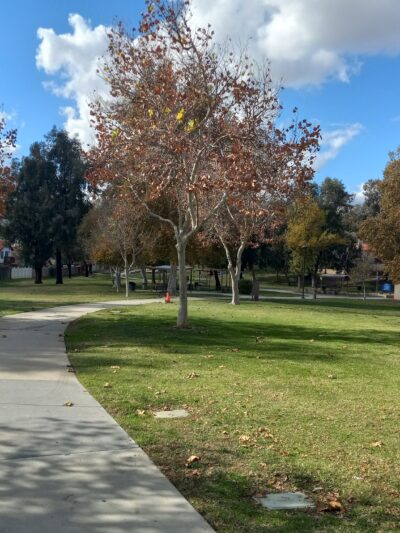 Gateway Park - Moreno Valley, CA