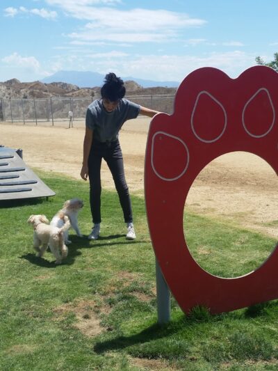 Hound Town - Moreno Valley, CA