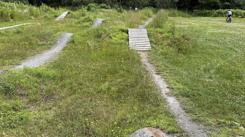 Moretown Skills Park - Moretown, VT