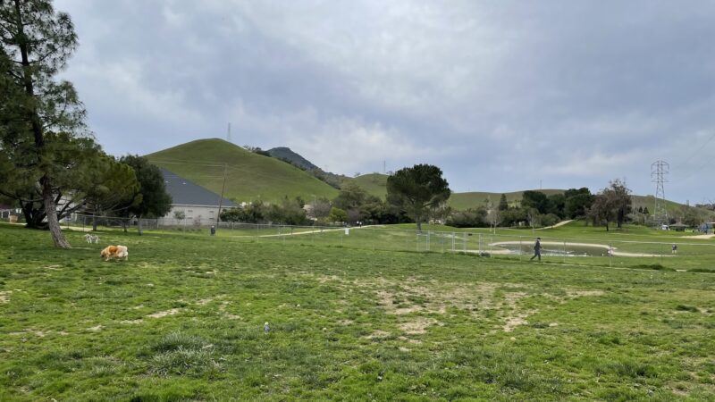 Morgan Hill Dog Park - Morgan Hill, CA