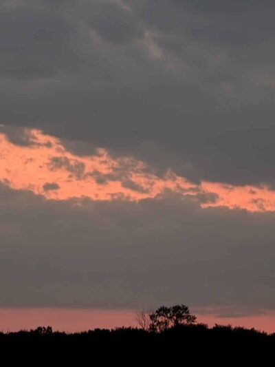 Wickatunk Trail Parking - Morganville, NJ