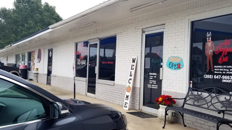 All Dogged Out Dog Grooming and supply - Morris, AL