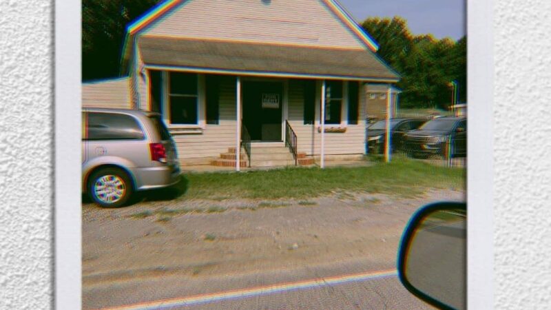 All Dogged Out Dog Grooming and supply - Morris, AL