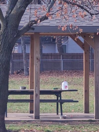 Tag-A-Long Dog Park - Morris, IL