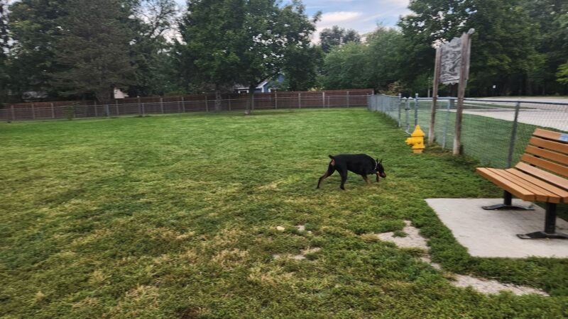 Tag-A-Long Dog Park - Morris, IL