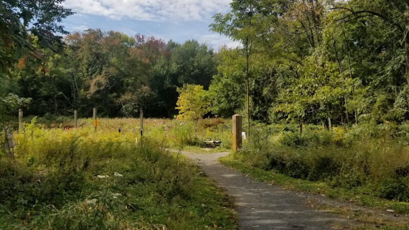 Foote's Pond Park - Morristown, NJ