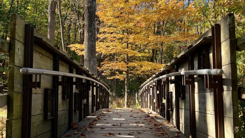 Foote's Pond Park - Morristown, NJ