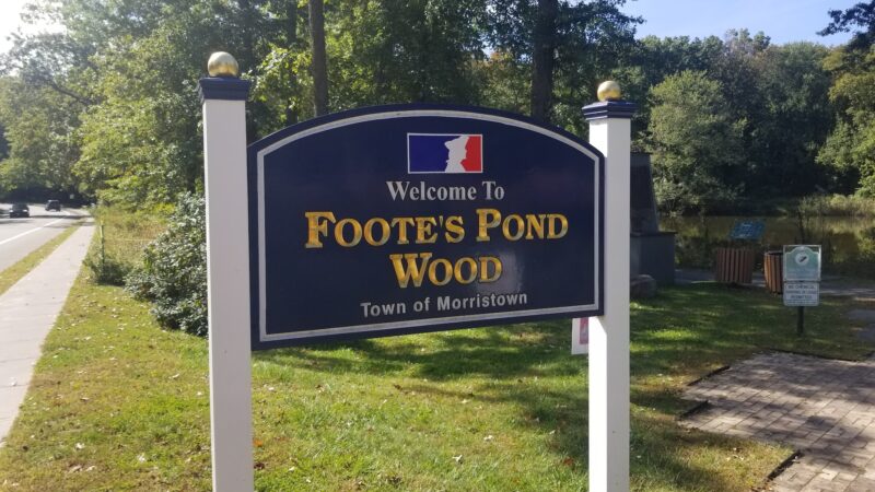 Foote's Pond Park - Morristown, NJ