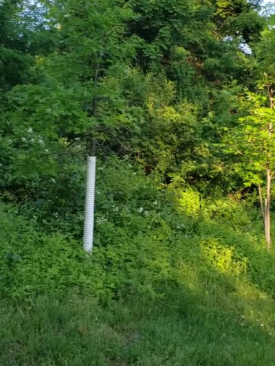 Jacob Ford Park - Morristown, NJ