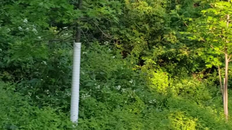 Jacob Ford Park - Morristown, NJ