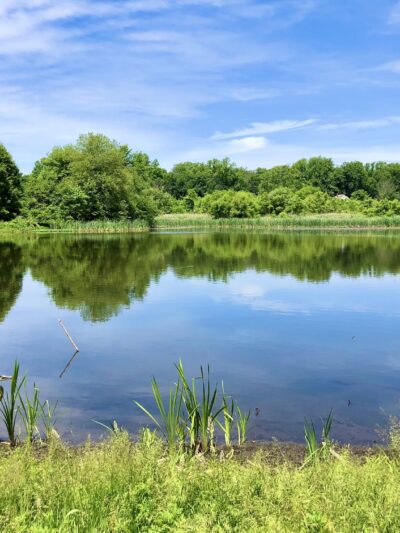 Kitchell Pond - Morristown, NJ