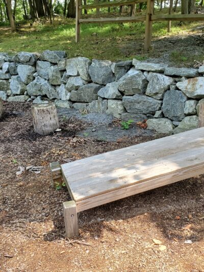 Kleitman Woods Park - Morristown, NJ