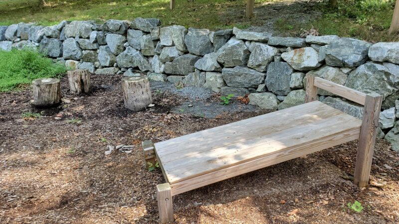 Kleitman Woods Park - Morristown, NJ