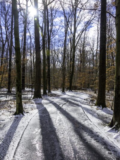 Loantaka Brook Park, Madison, NJ - Morristown, NJ