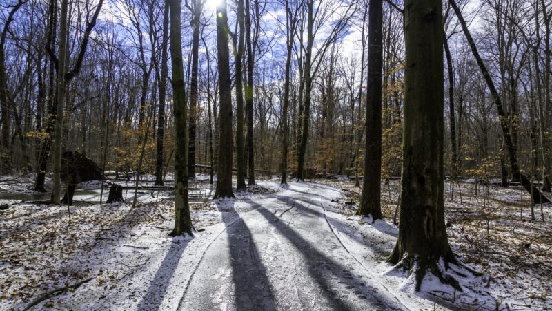 Loantaka Brook Park, Madison, NJ - Morristown, NJ