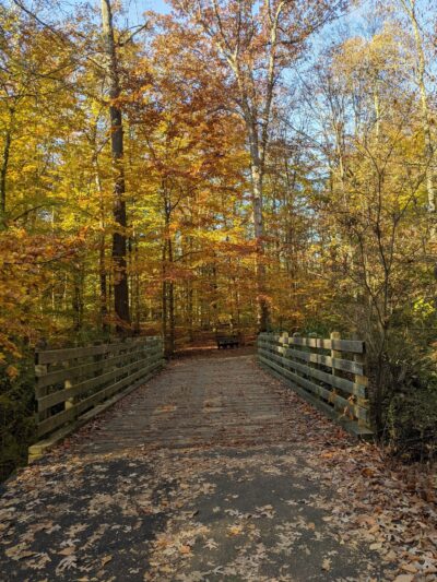 Loantaka Brook Park, Madison, NJ - Morristown, NJ