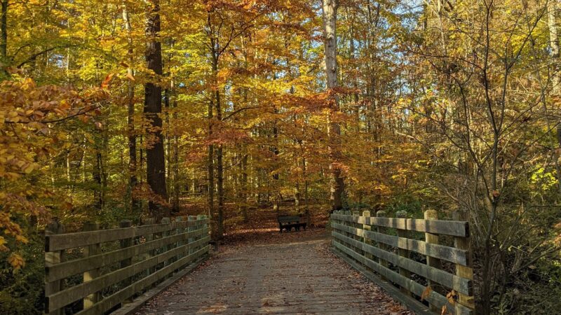 Loantaka Brook Park, Madison, NJ - Morristown, NJ