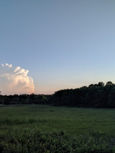 Loantaka Brook Park, Madison, NJ - Morristown, NJ