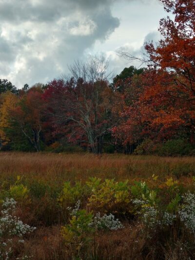 Loantaka Brook Park, Madison, NJ - Morristown, NJ