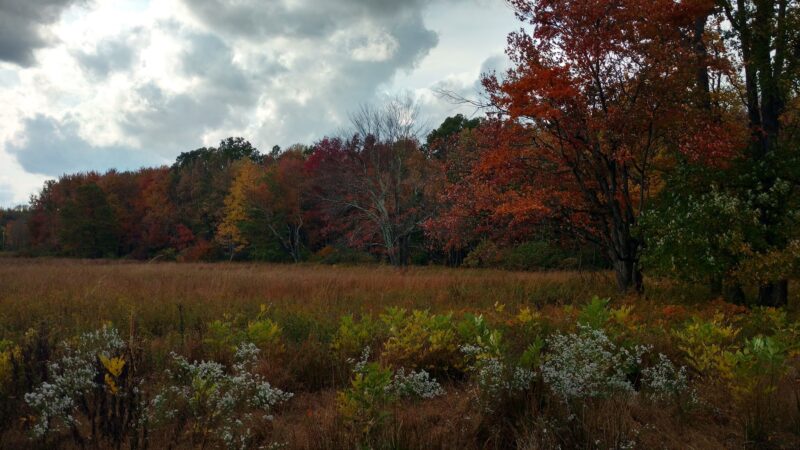 Loantaka Brook Park, Madison, NJ - Morristown, NJ