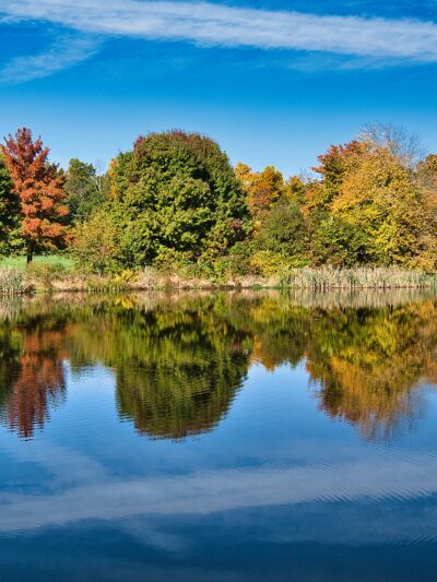 Loantaka Brook Reservation - Morristown, NJ