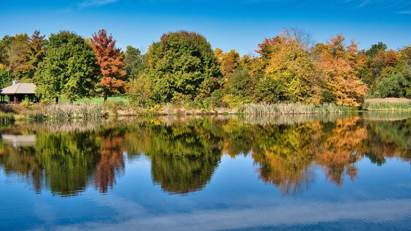 Loantaka Brook Reservation - Morristown, NJ
