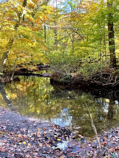 Loantaka Brook Reservation - Morristown, NJ