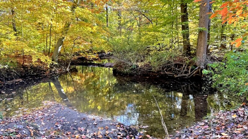 Loantaka Brook Reservation - Morristown, NJ