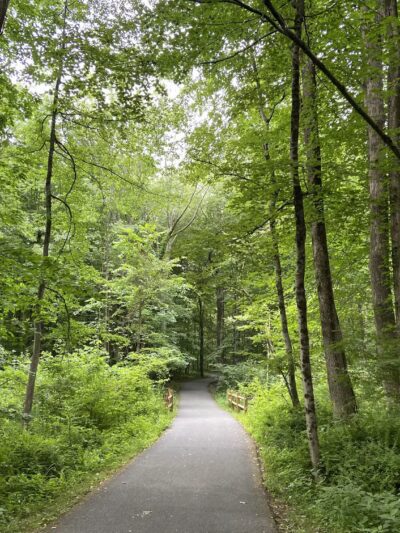 Loantaka Brook Reservation - Morristown, NJ
