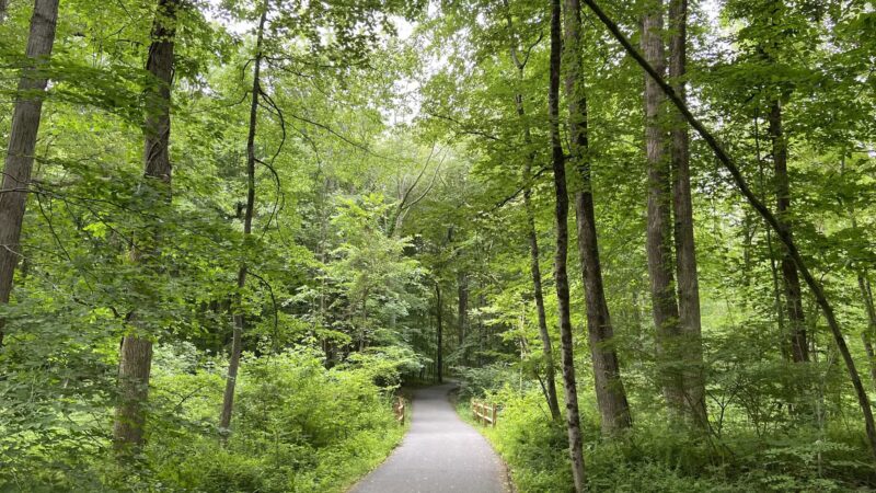 Loantaka Brook Reservation - Morristown, NJ