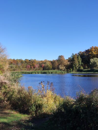 Loantaka Pond Area, Morris County Park - Morristown, NJ
