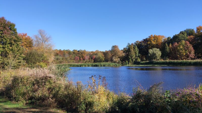 Loantaka Pond Area, Morris County Park - Morristown, NJ