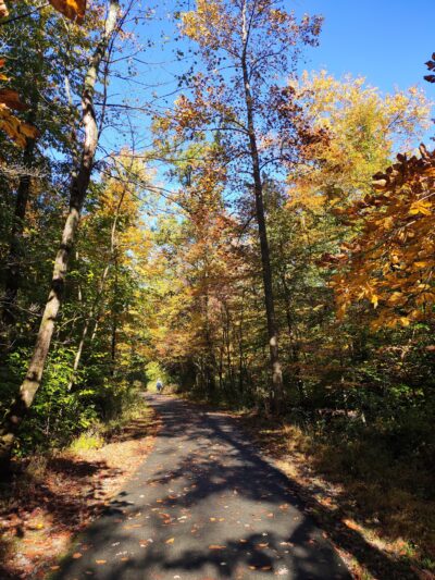 Loantaka Pond Area, Morris County Park - Morristown, NJ