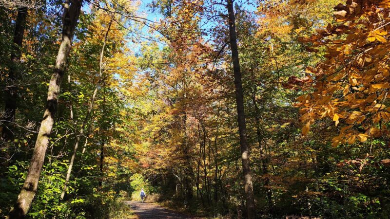 Loantaka Pond Area, Morris County Park - Morristown, NJ