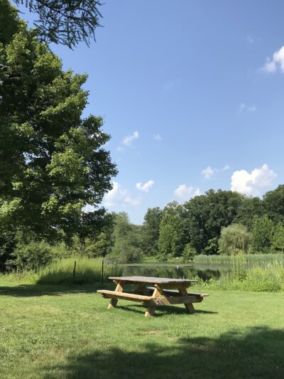 Loantaka Pond Area, Morris County Park - Morristown, NJ