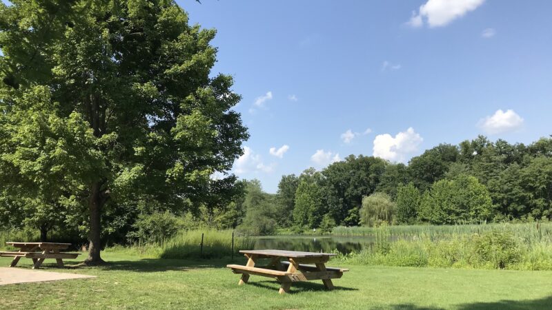 Loantaka Pond Area, Morris County Park - Morristown, NJ