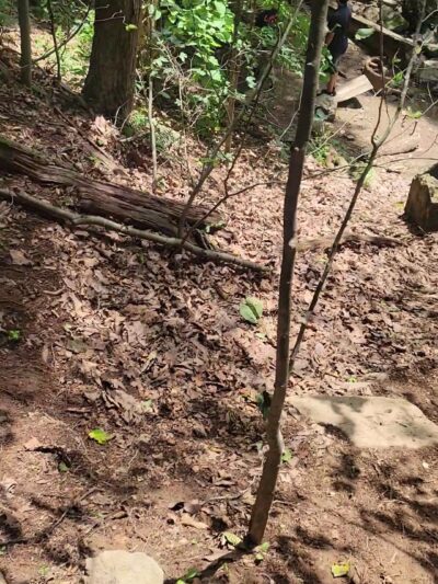 Morris County Park Commission - Morristown, NJ