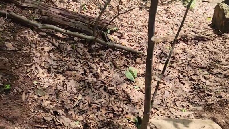 Morris County Park Commission - Morristown, NJ