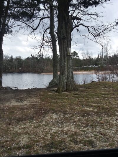 Patriot's Park - Morrisville, PA