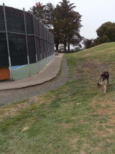 Jody Giannini Family Dog Park - Morro Bay, CA