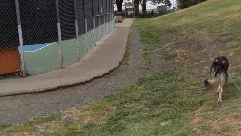Jody Giannini Family Dog Park - Morro Bay, CA