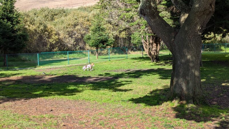 Jody Giannini Family Dog Park - Morro Bay, CA
